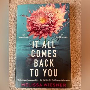 It All Comes Back to You by Melissa Weisner